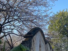 -广州市流溪河国家森林公园