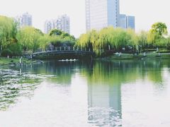 -桐乡植物园