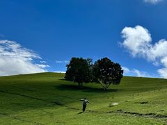 -克什克腾世界地质公园青山景区