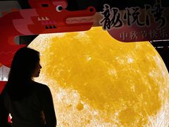 -龙悦湾酒家·八阵鱼生·渔人码头店