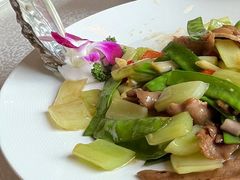 -新世纪大酒楼·30年南海菜