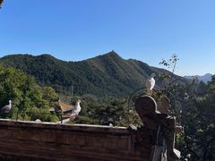 -潭柘寺景区