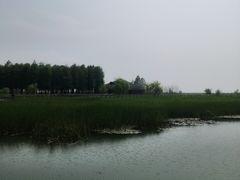 -太湖湖滨国家湿地公园-停车场