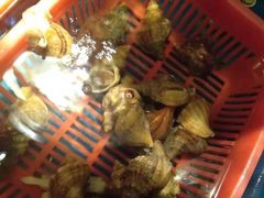 -吉友粥底火锅(方斜路店)