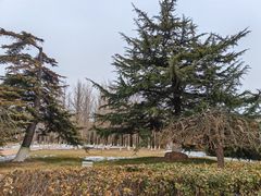 -赵州桥景区