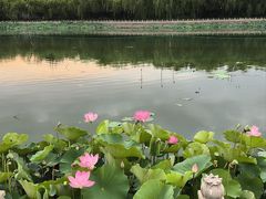 -南戴河国际娱乐中心