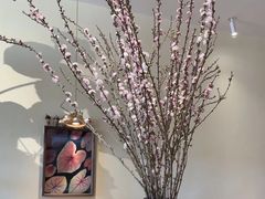-echoes coffee回响咖啡(红山店)
