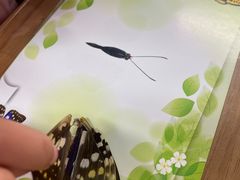 -上海昆虫博物馆