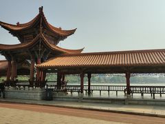 -洛龙公园