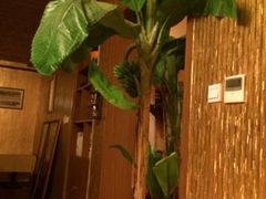 iphone_upload_pic-芭堤雅泰国餐厅(胜利路店)
