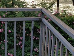 -谷咖啡·鲜花绿植花园餐厅