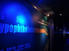 -白鹤梁水下博物馆