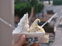 -野人先生现做冰淇淋(北京环宇荟店)