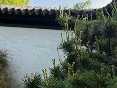 -常熟方塔园