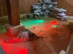 -嘉宴(明发外滩广场店)