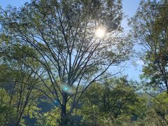 -九曲溪竹筏码头