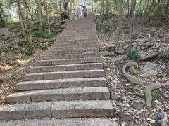 -紫金山山顶公园