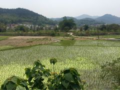 iphone_upload_pic-红山村
