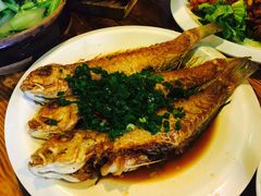 香煎马头鱼-和记菜馆