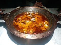 -雲蜀龙阁·金牌水煮鱼(方庄店)