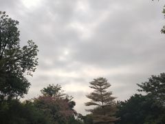 -南宁南湖公园