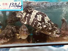 -南海渔家•海鲜•正宗海南菜(海棠湾店)