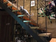 -ZONE BAR 音乐清吧