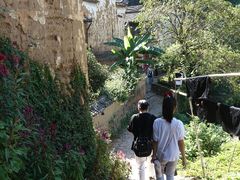 -杨家堂村