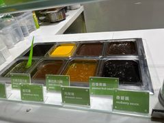 -Salud撒露欧洲冻酸奶(北苑上品店)