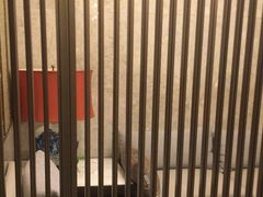 -艺水间水汇