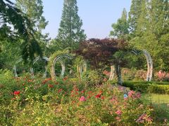 -昆山城市生态森林公园