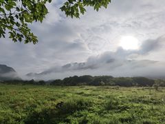 -大九湖