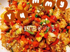 -田趣园长沙菜(天安云谷店)