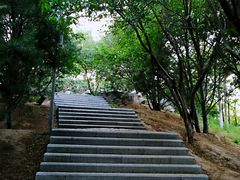 -奥林匹克森林公园南门-停车场