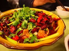 -曾牛肉