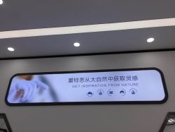 -蕾特恩专业祛痘国际连锁