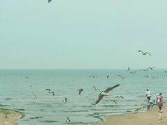 -八仙过海景区