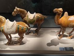 -徐州博物馆