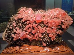 -湖南省地质博物馆