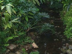 -深圳仙湖植物园
