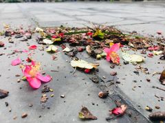 -房湖公园