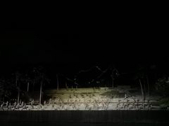 -三亚红色娘子军演艺公园景区
