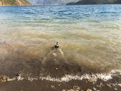 -丽江泸沽湖景区-里格半岛