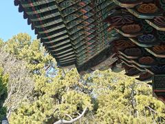-海东龙宫寺