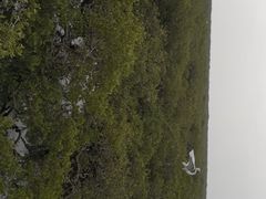 -北海金海湾红树林生态旅游区