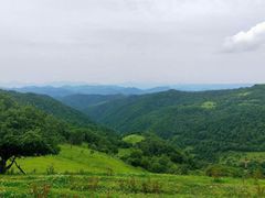 -关山草原