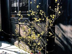-法云古村