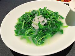 米汤捞苋菜-肆月河豚·淮扬菜·湘菜(华天店)