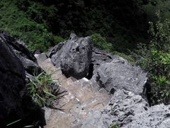 -西华公园