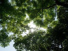 -浙江农林大学(东湖校区)